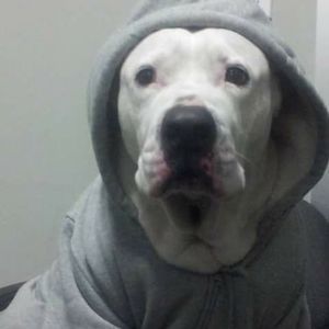 Meet your Posher, Sandra